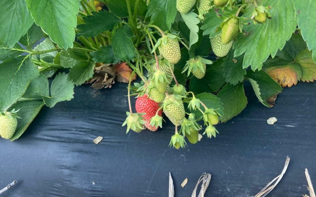 Saisoneröffnung 2025